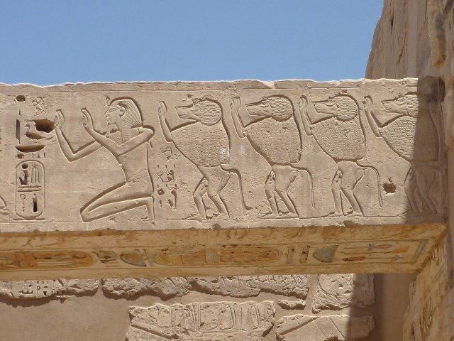 Four Baboons and Ramses III, Medinet Habu, Theban Necropolis, Egypt