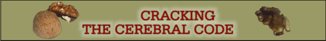 Crackig the cerebral code (animated banner)