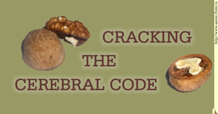 Crackig the cerebral code
